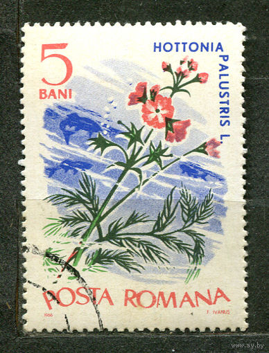 Флора. Водные растения. Румыния. 1966