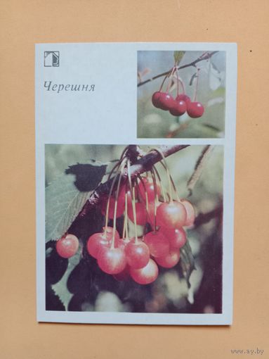 Открытка 1986