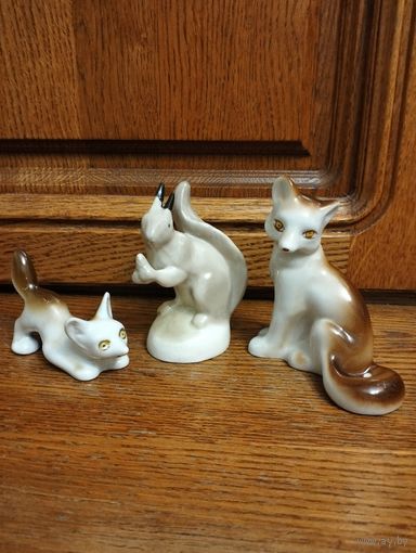 Белка с листами.