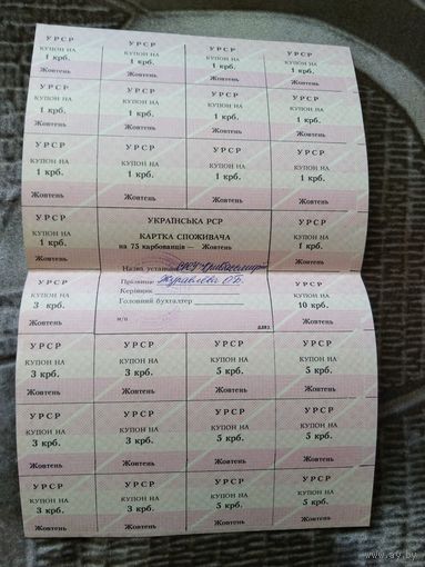 СССР Украинская ССР полный лист купонов выданный в октябре 1991 года Днепропетровская область