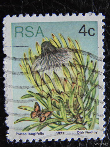 ЮАР 1977г. Флора.