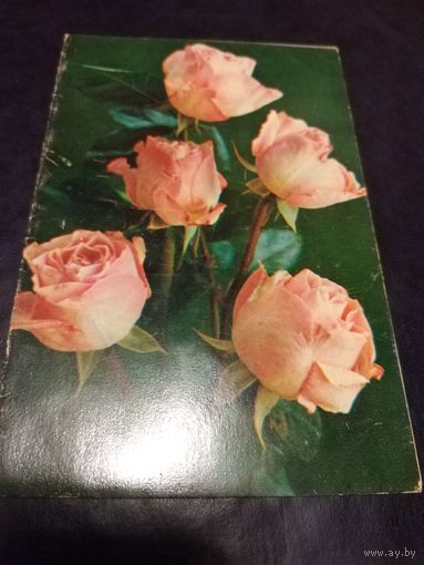 Открытка 1978г. Подписана.