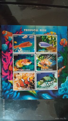 Блок рыбы фауна морская жизнь  MNH