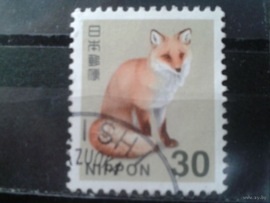 Япония, 2015. Лисица
