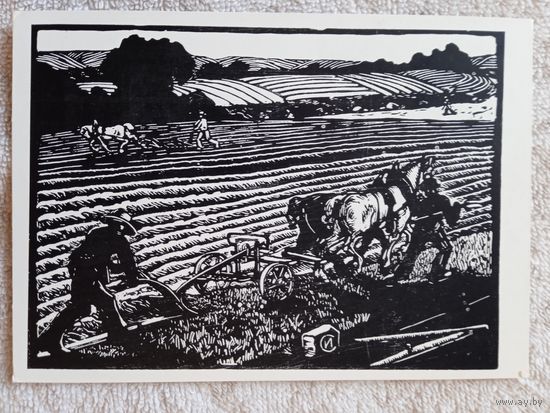 1958. Соколов. На пашне