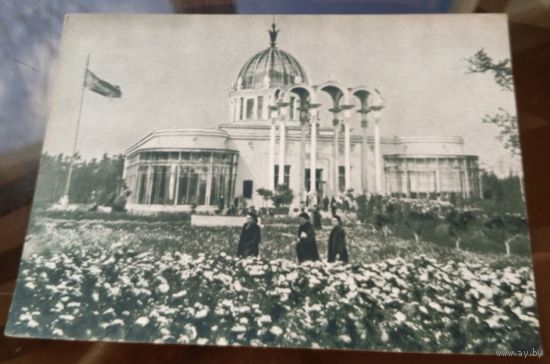 1955 год Москва ВСХВ Павильон юннатов