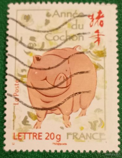 Франция 2007. Год свиньи