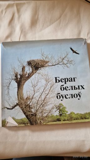 Бераг белых буслоў
