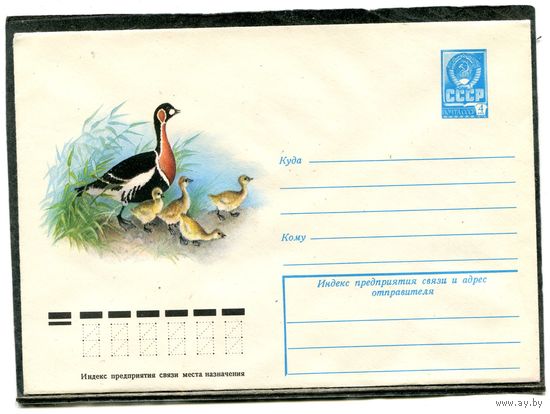 СССР 1978. ХМК. Конверт. Фауна. Краснозобая казарка