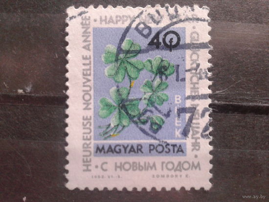 Венгрия 1963 Новый год, цветы