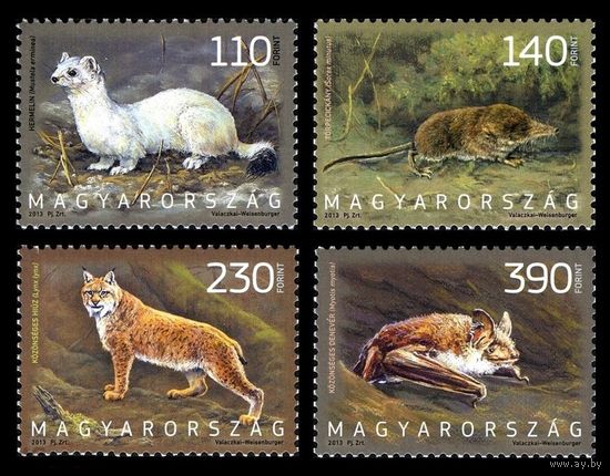 2013 Венгрия 5619-5622 Фауна. Хищные и насекомоядные млекопитающие **