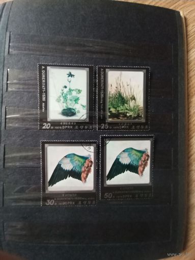 КНДР. 1978. Дюрер. Живопись