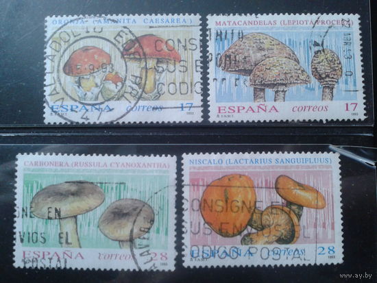 Испания 1993 Грибы Полная серия