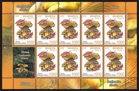 Малые листы "Лисичка (9м + купон)", "Боровик (9м + купон)"