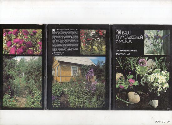Ваш приусадебный участок. Декоративные растения. Комплект 18 открыток. 1987