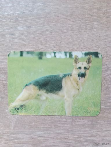 Календарик 1991