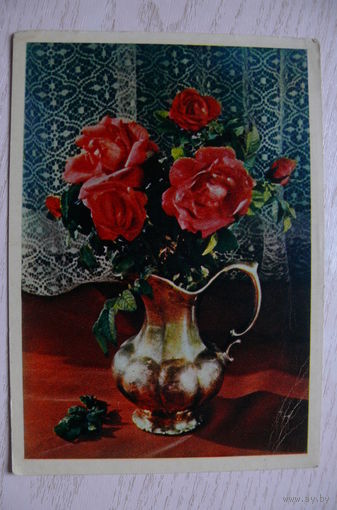 Игнатович Е., Букет роз; 1956, чистая.