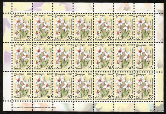 Беларусь. 2008. Стандарт.  Нарцисс (50р) (з.98-2009) Лист