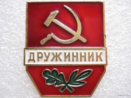Дружинник.
