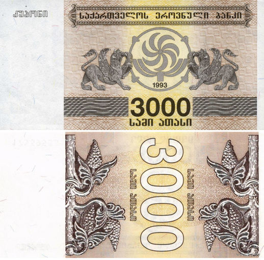 Грузия 3000 Купонов 1993 UNC П1-113
