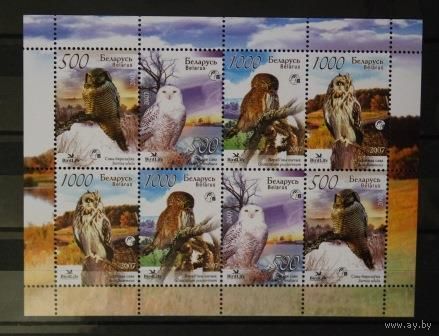 Совы Беларусь", 2007, Малый лист, MNH Фауна