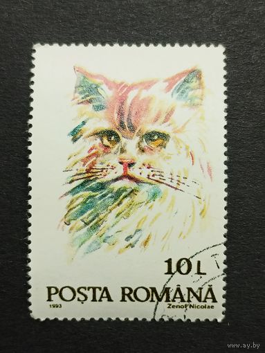 Румыния 1993. Коты