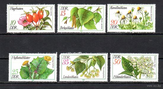 Лекарственные растения ГДР 1978 год серия из 6 марок