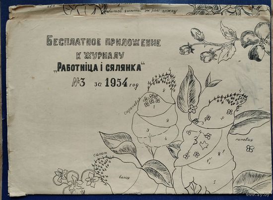 Приложение к журналу "Работнiца i сялянка". 1954 г.