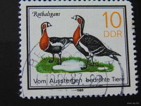 Германия 1985 г. Птицы.