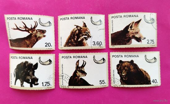 Румыния. Охота. Животные. ( 6 марок ) 1976 года. 2-4.