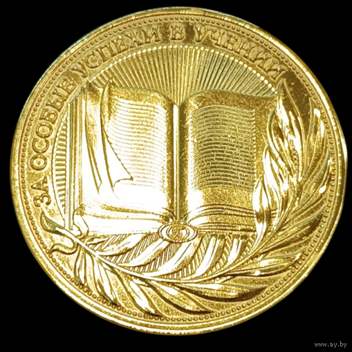 Золотая школьная медаль РФ За особые успехи в учении 1 степени