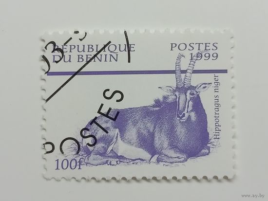 Бенин 1999. Животные