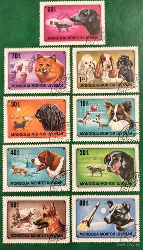 Монголия 1978. Породы собак. Полная серия