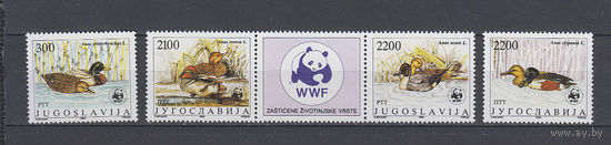 Фауна. Утки Югославия. 1989. Сцепка из 4-х марок с купоном. Michel N 2328-2341 (10,0 е).