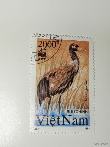 Вьетнам 1991 год. Птицы