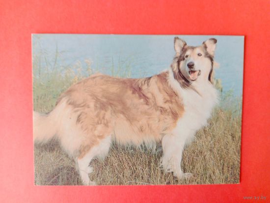 Календарик 1994