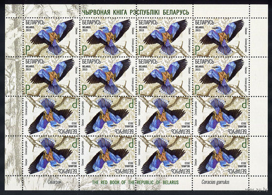 2013_Сизоворонка.