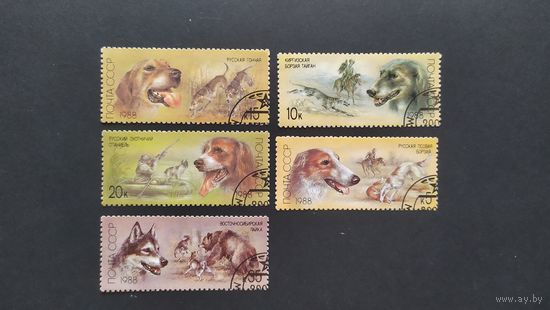 Лот 17 разные марки