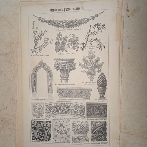 Орнаментъ  растительный . Гравюра энциклопедическая 19-20век. 24х15см. СПБ.   РАСПРОДАЖА КОЛЛЕКЦИИ.
