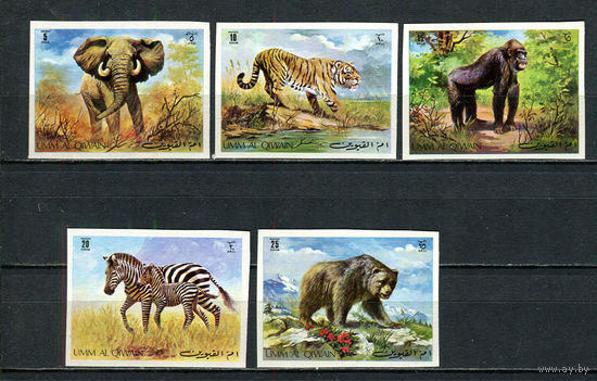 Умм-эль-Кайвайн - 1971 - Дикие животные - [Mi. 478B-482B] - полная серия - 5 марок. MNH.  (Лот 52JC)-TG3P54