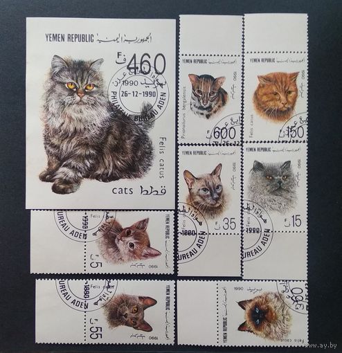 Фауна \95фа\ЙЕМЕН 1990 ФАУНА  КОШКИ