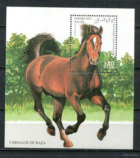 Сахара - 1995 - Лошадь - 1 блок. MNH.  (Лот 58JH)-TG2P21