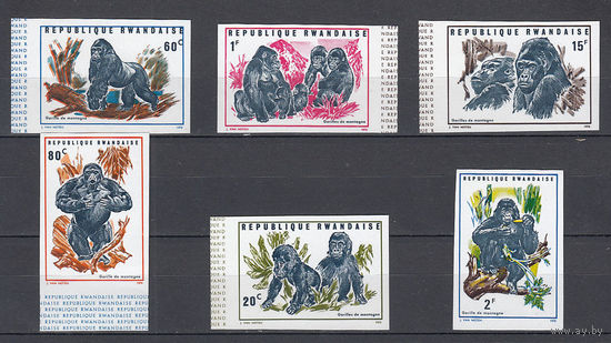Фауна. Обезьяны. Руанда. 1970. 6 марок б/з. Michel N 400, 402-406 (20.0 е).