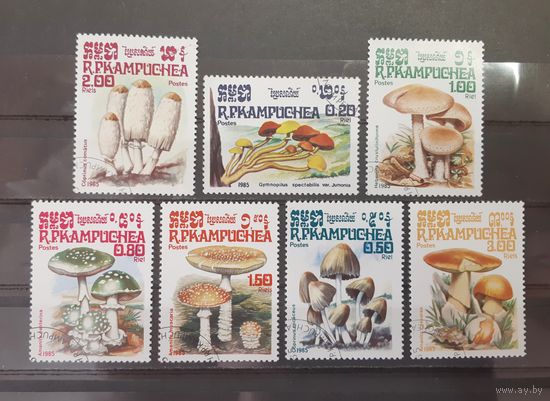 Камбоджа. 1985 год. Флора. Грибы