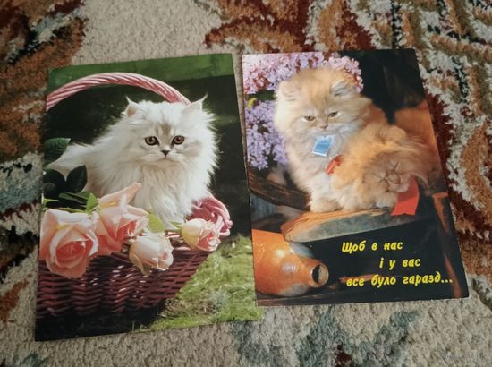 Открытки кошки Украина 1990е подписаны
