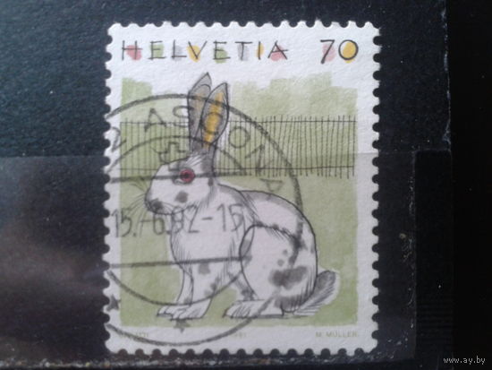 Швейцария 1991 Стандарт, заяц