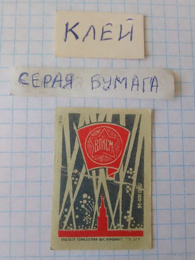 Спичечные этикетки ф.Гомель. 40 лет ВЛКСМ. 1958 год