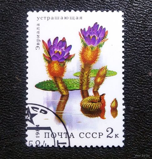 Марка СССР 1984 Водные растения
