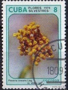 Куба 1974. Флора