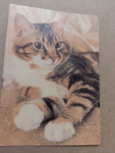 Календарик